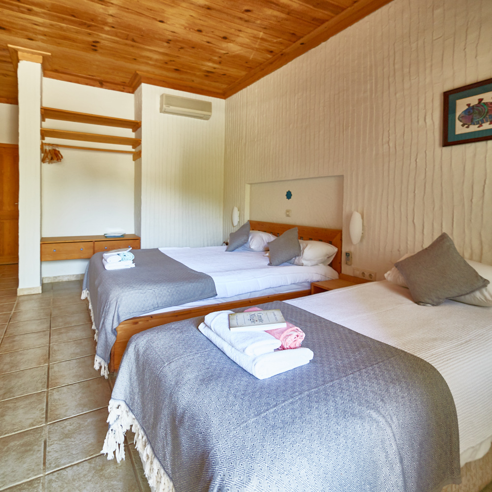 Snoopy (Dorm) - Bed 2